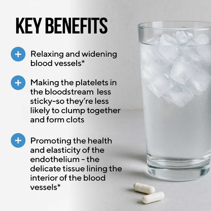 Nitric Oxide Booster ~ Blood Flow Support